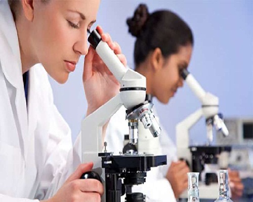 paramedical